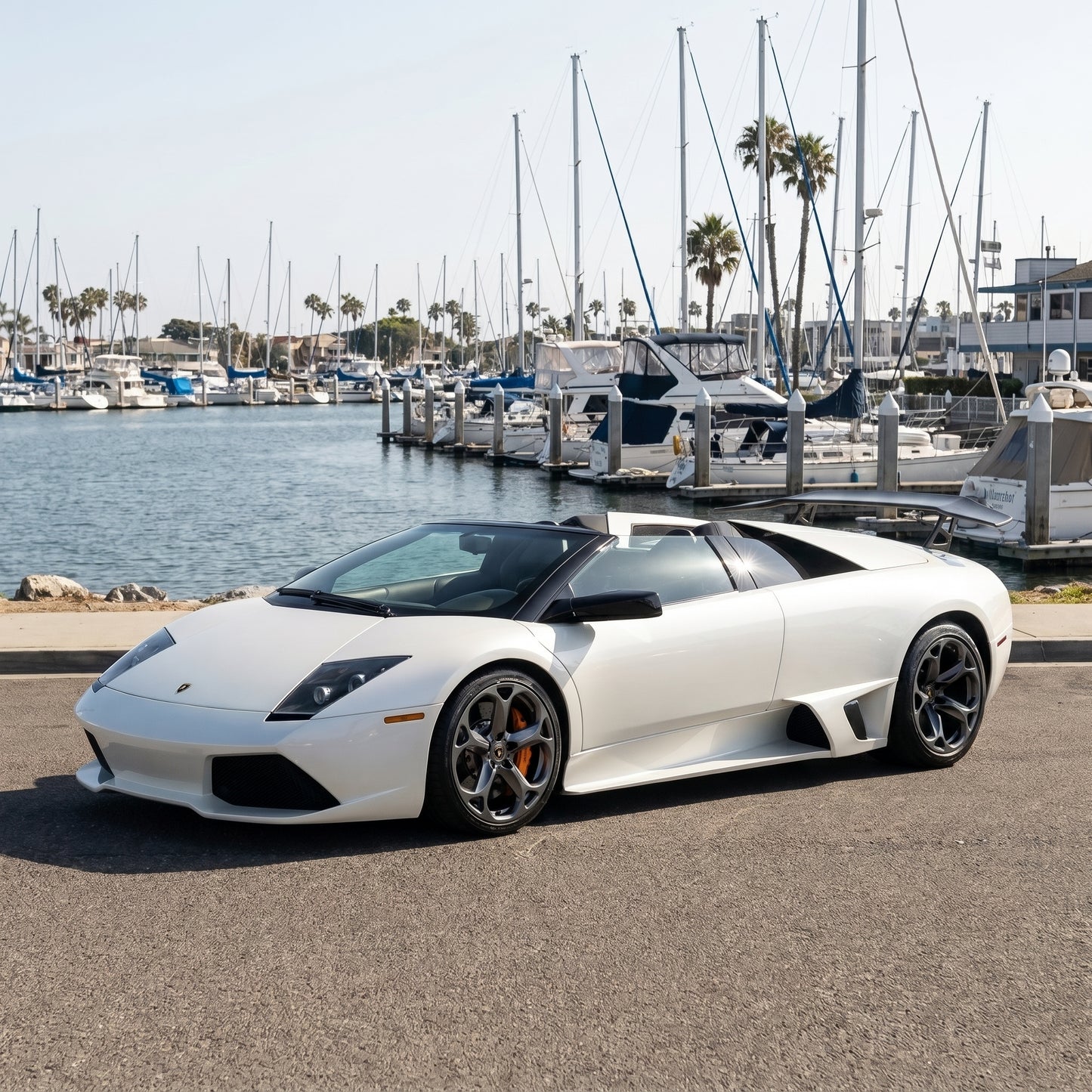 Lamborghini Murcielago LP640 on custom Hercules wheels by Players Club Cars